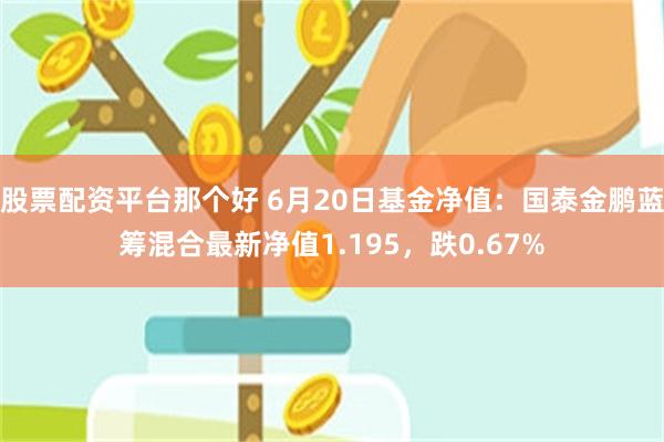 股票配资平台那个好 6月20日基金净值：国泰金鹏蓝筹混合最新净值1.195，跌0.67%